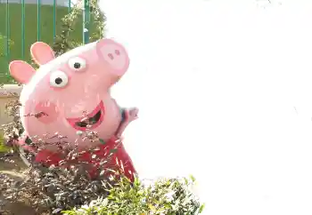 Effet photo de catégorie Divers pour enfants № 101439