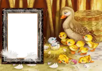 Effet photo de catégorie Campagne № 166682