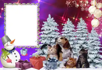 Effet photo de catégorie Fêtes des enfants № 178291 Effet photo de catégorie Fêtes des enfants № 178291