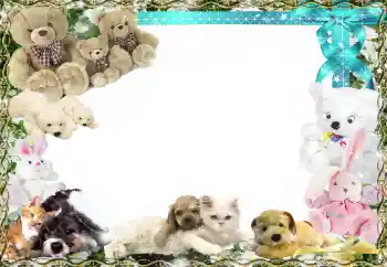 Effet photo de catégorie Mes jouets et mes chouchous № 158458