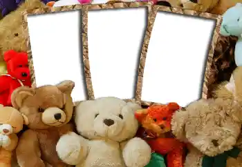 Effet photo de catégorie Mes jouets et mes chouchous № 6505