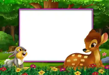 Effet photo de catégorie Au sein de la nature № 112644