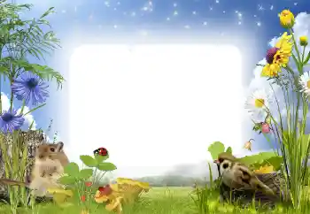 Effet photo de catégorie Au sein de la nature № 141000 Effet photo de catégorie Au sein de la nature № 141000