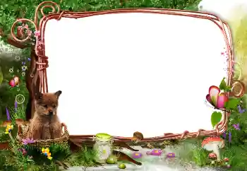 Effet photo de catégorie Au sein de la nature № 142331 Effet photo de catégorie Au sein de la nature № 142331