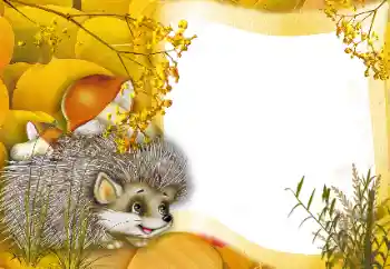 Effet photo de catégorie Au sein de la nature № 166562 Effet photo de catégorie Au sein de la nature № 166562