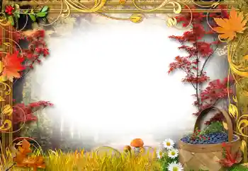 Effet photo de catégorie Au sein de la nature № 192842 Effet photo de catégorie Au sein de la nature № 192842