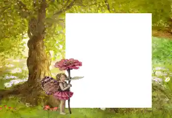 Effet photo de catégorie Au sein de la nature № 9863