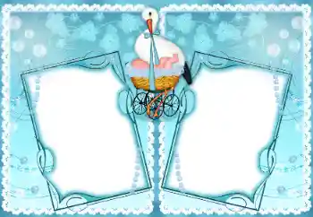 Effet photo de catégorie Première année № 192890