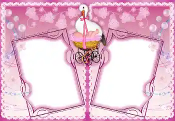 Effet photo de catégorie Première année № 192937