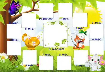 Effet photo de catégorie Première année № 1997