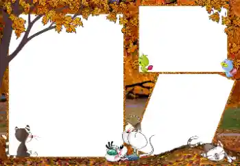 Effet photo de catégorie Promenade № 192841 Effet photo de catégorie Promenade № 192841