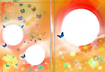 Effet photo de catégorie Chemises DVD № 145141