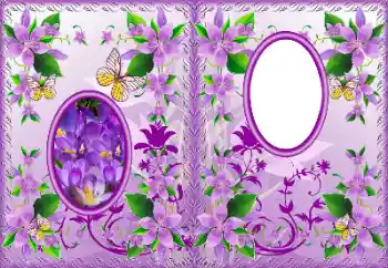 Effet photo de catégorie Chemises DVD № 183322 Effet photo de catégorie Chemises DVD № 183322