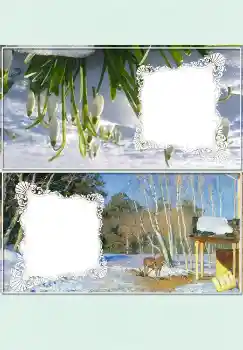 Effet photo de catégorie De table № 4524