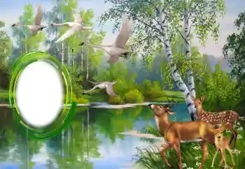 Effet photo de catégorie Divers № 151671 Effet photo de catégorie Divers № 151671