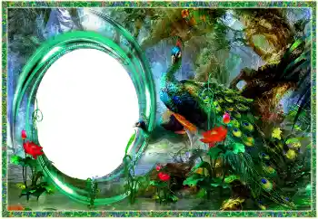 Effet photo de catégorie Divers № 154704