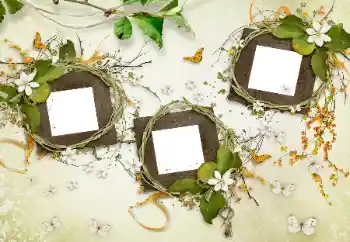 Effet photo de catégorie Divers № 175577