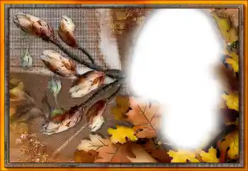 Effet photo de catégorie Divers № 205533