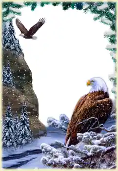 Effet photo de catégorie Divers № 205592