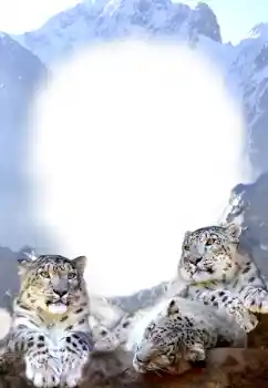 Effet photo de catégorie Divers № 68679