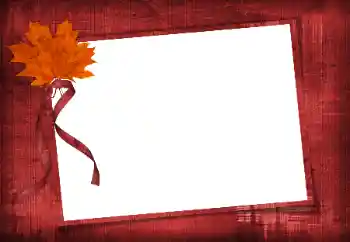 Effet photo de catégorie Divers № 86582