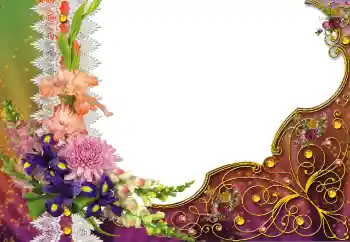 Effet photo de catégorie Divers № 91827