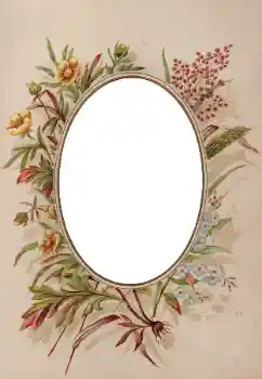Effet photo de catégorie Divers № 93398