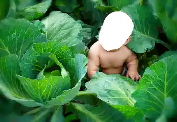Effet photo de catégorie Pour les enfants № 90533