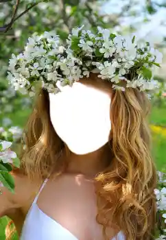 Effet photo de catégorie Pour les femmes № 68660