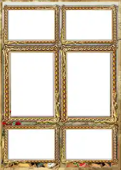 Effet photo de catégorie Album n°1 № 842