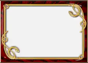 Effet photo de catégorie Album n°2 № 852