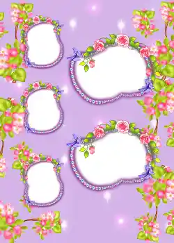 Effet photo de catégorie Album n°3 № 858