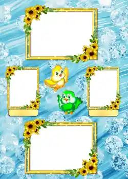 Effet photo de catégorie Album n°4 № 865