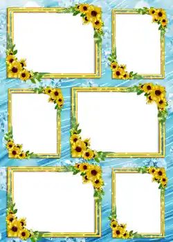 Effet photo de catégorie Album n°4 № 904