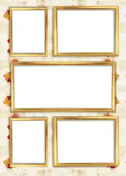 Effet photo de catégorie Album n°6 № 925