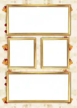 Effet photo de catégorie Album n°6 № 926