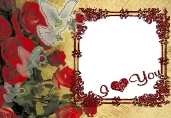 Effet photo de catégorie Cadres pour amoureux № 10836. Inscription sur le cadre: I love you!