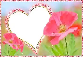 Effet photo de catégorie Cadres pour amoureux № 112482
