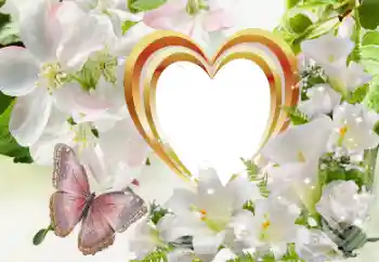 Effet photo de catégorie Cadres pour amoureux № 114320