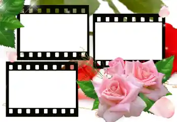 Effet photo de catégorie Cadres pour amoureux № 115800
