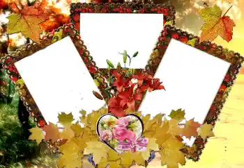 Effet photo de catégorie Cadres pour amoureux № 124326
