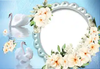 Effet photo de catégorie Cadres pour amoureux № 12891