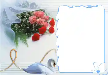 Effet photo de catégorie Cadres pour amoureux № 12892