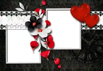 Effet photo de catégorie Cadres pour amoureux № 160790