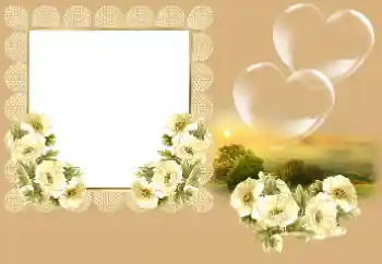 Effet photo de catégorie Cadres pour amoureux № 166669