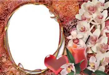 Effet photo de catégorie Cadres pour amoureux № 2198