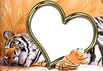 Effet photo de catégorie Cadres pour amoureux № 2202