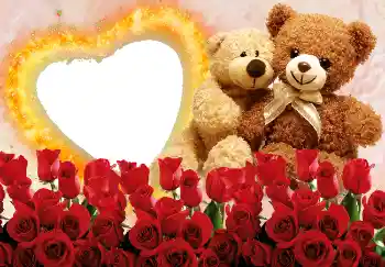 Effet photo de catégorie Cadres pour amoureux № 2215