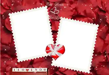 Effet photo de catégorie Cadres pour amoureux № 2224. Inscription sur le cadre: I love you! Effet photo de catégorie Cadres pour amoureux № 2224. Inscription sur le cadre: I love you!