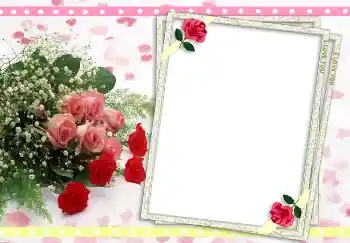 Effet photo de catégorie Cadres pour amoureux № 2977